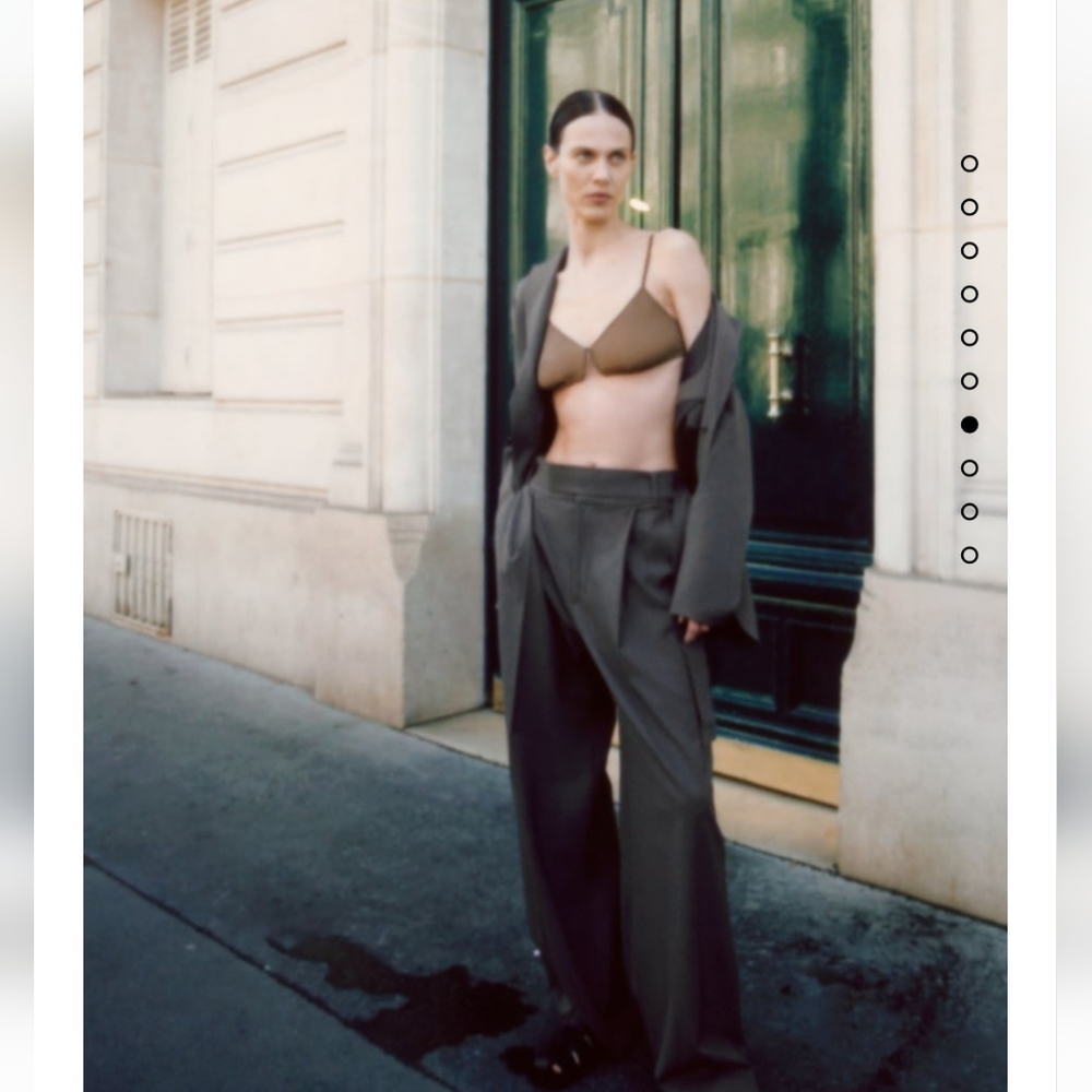 BNWT! Zara BELTED RELAXED TROUSER LIMITED EDITION